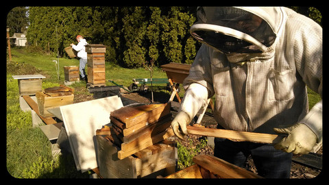 IMG_20140407_110957_3bfab741-d672-4b3a-b515-d8560238aa68_large