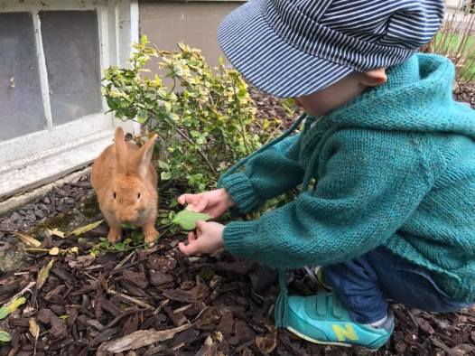 17553427_10155205698572704_7161802772478249499_n